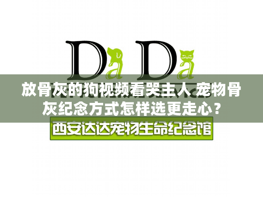 放骨灰的狗视频看哭主人 宠物骨灰纪念方式怎样选更走心？