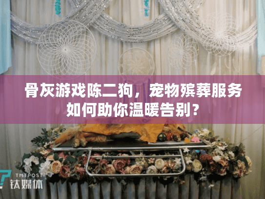 骨灰游戏陈二狗，宠物殡葬服务如何助你温暖告别？