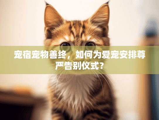 宠宿宠物善终，如何为爱宠安排尊严告别仪式？