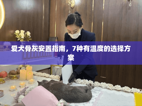 爱犬骨灰安置指南，7种有温度的选择方案