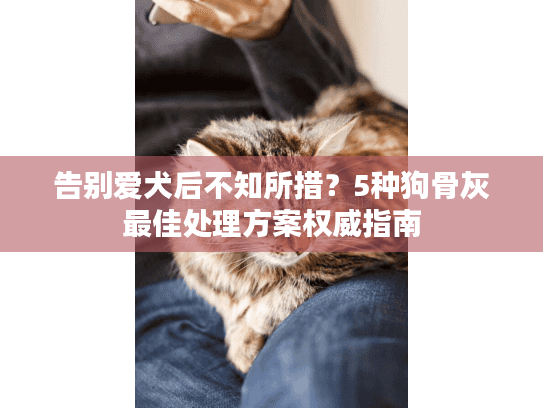 告别爱犬后不知所措？5种狗骨灰最佳处理方案权威指南