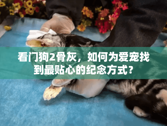 看门狗2骨灰，如何为爱宠找到最贴心的纪念方式？