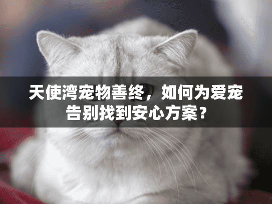 天使湾宠物善终，如何为爱宠告别找到安心方案？