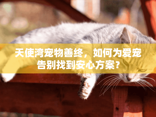 天使湾宠物善终，如何为爱宠告别找到安心方案？