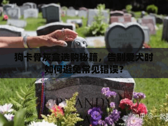 狗卡骨灰盒选购秘籍，告别爱犬时如何避免常见错误？