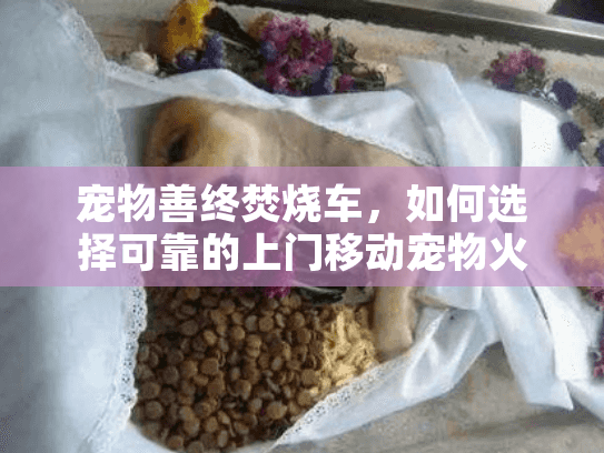 宠物善终焚烧车，如何选择可靠的上门移动宠物火化服务？