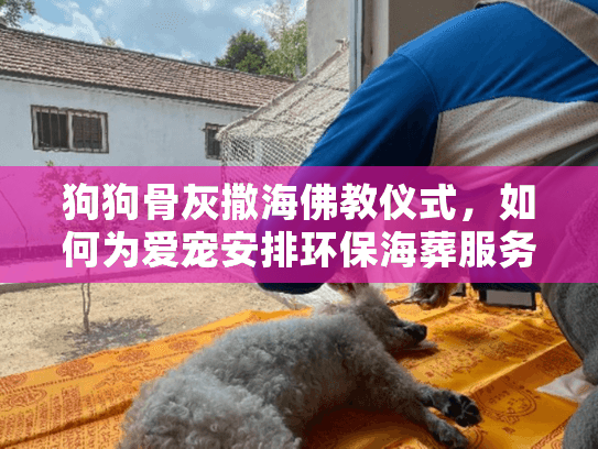 狗狗骨灰撒海佛教仪式，如何为爱宠安排环保海葬服务？