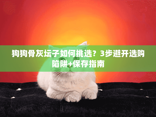 狗狗骨灰坛子如何挑选？3步避开选购陷阱+保存指南