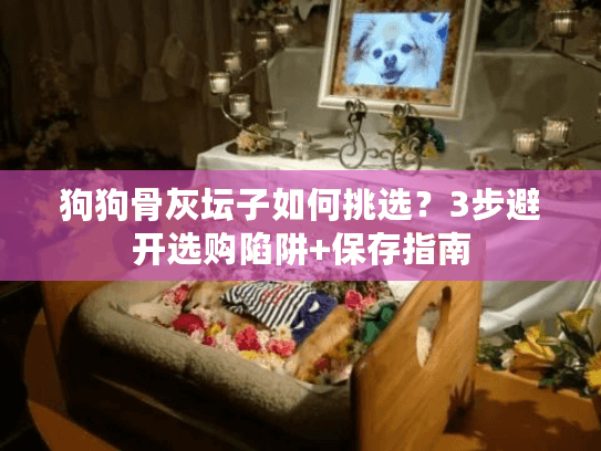 狗狗骨灰坛子如何挑选？3步避开选购陷阱+保存指南