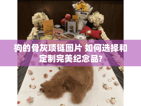 狗的骨灰项链图片 如何选择和定制完美纪念品?