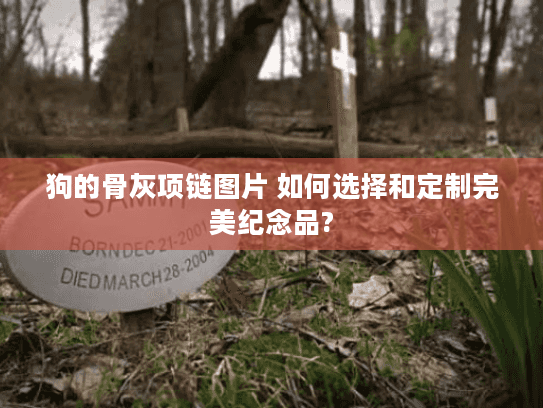 狗的骨灰项链图片 如何选择和定制完美纪念品?