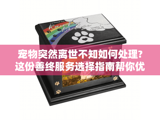 宠物突然离世不知如何处理?这份善终服务选择指南帮你优雅告别