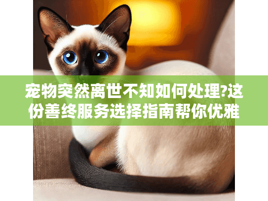 宠物突然离世不知如何处理?这份善终服务选择指南帮你优雅告别