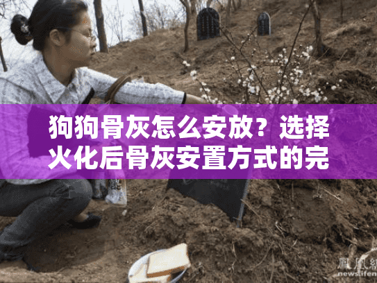 狗狗骨灰怎么安放？选择火化后骨灰安置方式的完整指南
