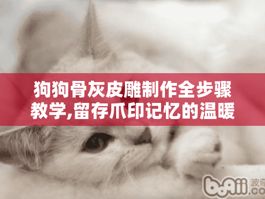 狗狗骨灰皮雕制作全步骤教学,留存爪印记忆的温暖方式