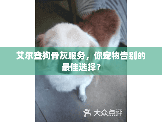 艾尔登狗骨灰服务，你宠物告别的最佳选择？
