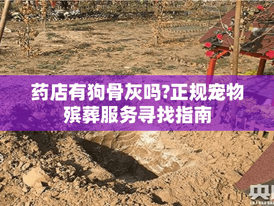 药店有狗骨灰吗?正规宠物殡葬服务寻找指南