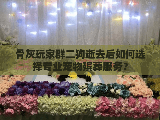 骨灰玩家群二狗逝去后如何选择专业宠物殡葬服务？