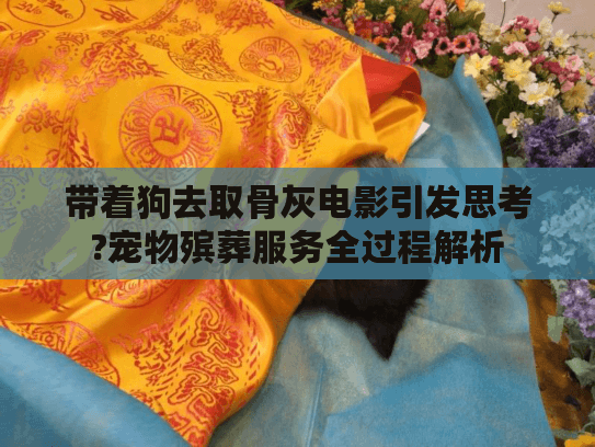 带着狗去取骨灰电影引发思考?宠物殡葬服务全过程解析