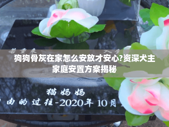 狗狗骨灰在家怎么安放才安心?资深犬主家庭安置方案揭秘