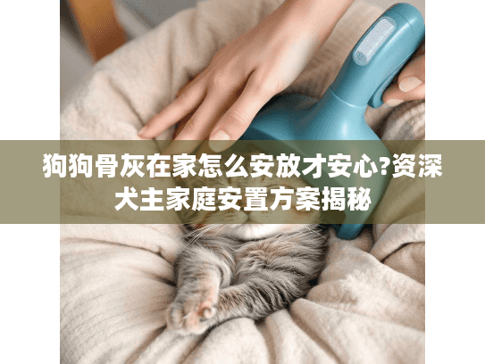 狗狗骨灰在家怎么安放才安心?资深犬主家庭安置方案揭秘