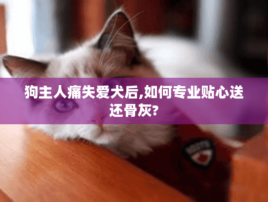 狗主人痛失爱犬后,如何专业贴心送还骨灰?