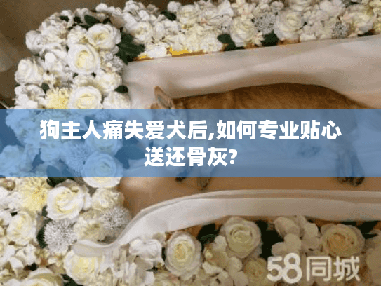 狗主人痛失爱犬后,如何专业贴心送还骨灰?