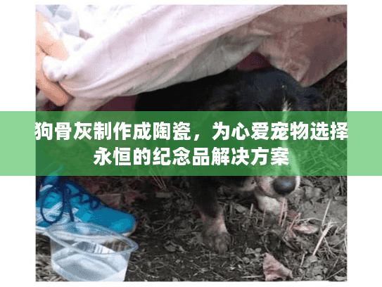 狗骨灰制作成陶瓷，为心爱宠物选择永恒的纪念品解决方案