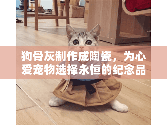 狗骨灰制作成陶瓷，为心爱宠物选择永恒的纪念品解决方案