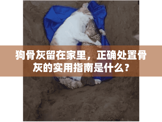 狗骨灰留在家里，正确处置骨灰的实用指南是什么？