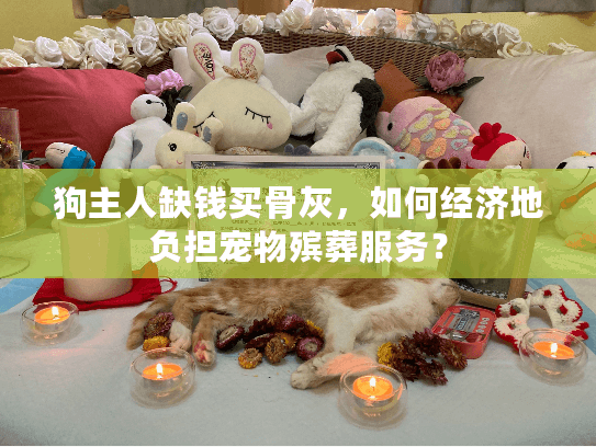狗主人缺钱买骨灰，如何经济地负担宠物殡葬服务？