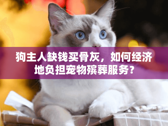 狗主人缺钱买骨灰，如何经济地负担宠物殡葬服务？