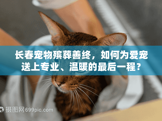 长春宠物殡葬善终，如何为爱宠送上专业、温暖的最后一程？