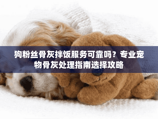狗粉丝骨灰拌饭服务可靠吗？专业宠物骨灰处理指南选择攻略