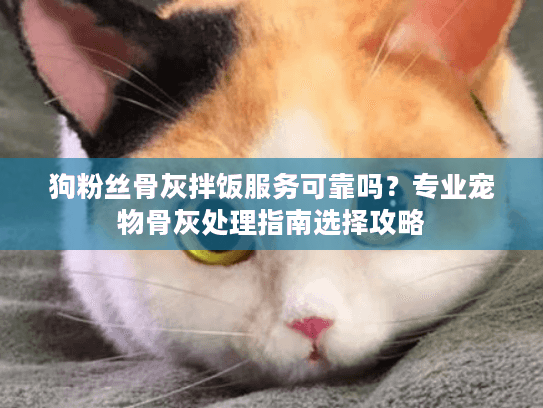 狗粉丝骨灰拌饭服务可靠吗？专业宠物骨灰处理指南选择攻略