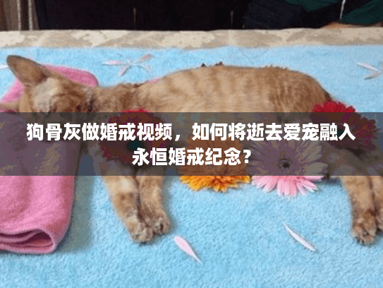 狗骨灰做婚戒视频，如何将逝去爱宠融入永恒婚戒纪念？