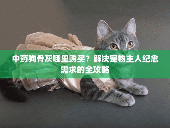中药狗骨灰哪里购买？解决宠物主人纪念需求的全攻略
