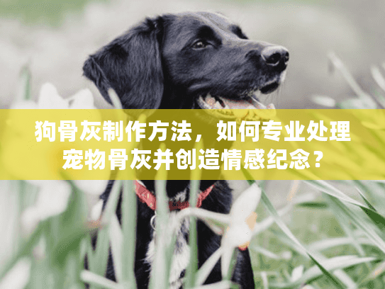 狗骨灰制作方法，如何专业处理宠物骨灰并创造情感纪念？