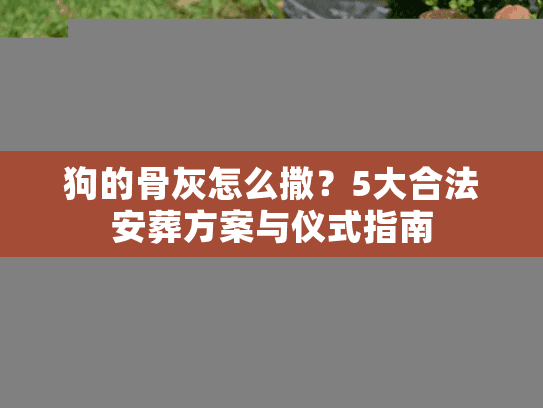 狗的骨灰怎么撒？5大合法安葬方案与仪式指南