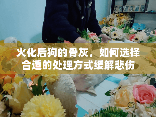 火化后狗的骨灰，如何选择合适的处理方式缓解悲伤