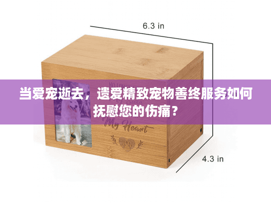 当爱宠逝去，遗爱精致宠物善终服务如何抚慰您的伤痛？