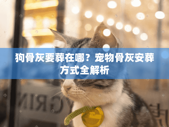 狗骨灰要葬在哪？宠物骨灰安葬方式全解析