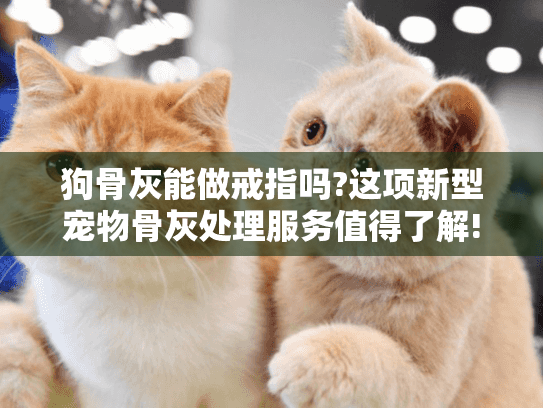 狗骨灰能做戒指吗?这项新型宠物骨灰处理服务值得了解!