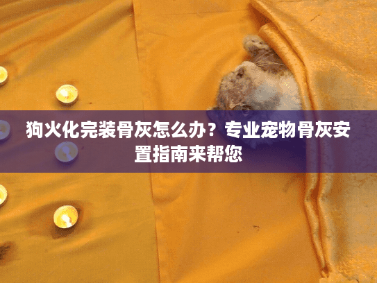 狗火化完装骨灰怎么办？专业宠物骨灰安置指南来帮您