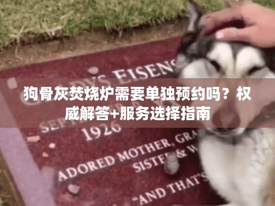 狗骨灰焚烧炉需要单独预约吗？权威解答+服务选择指南