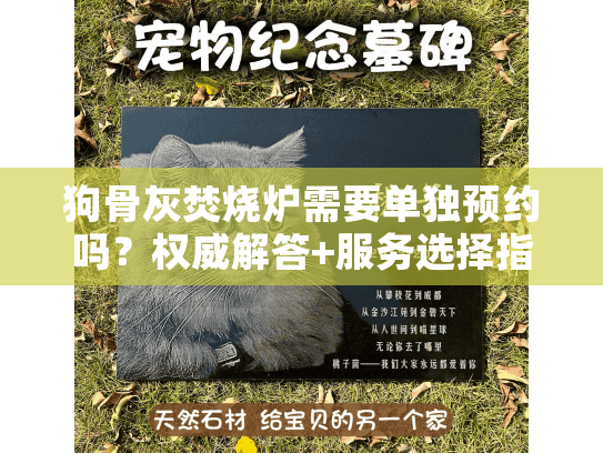 狗骨灰焚烧炉需要单独预约吗？权威解答+服务选择指南