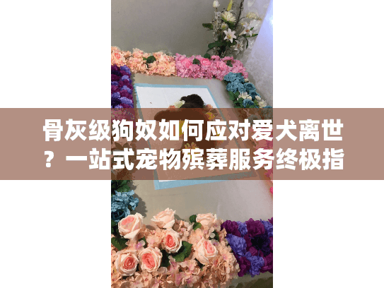 骨灰级狗奴如何应对爱犬离世？一站式宠物殡葬服务终极指南