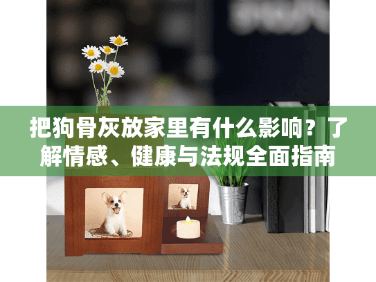 把狗骨灰放家里有什么影响？了解情感、健康与法规全面指南