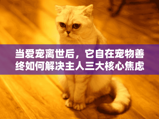 当爱宠离世后，它自在宠物善终如何解决主人三大核心焦虑？
