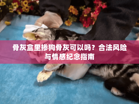 骨灰盒里掺狗骨灰可以吗？合法风险与情感纪念指南